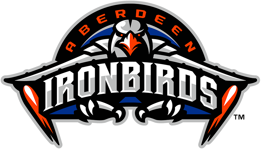 Aberdeen IronBirds 2021 Primary Logo iron on transfers for T-shirts